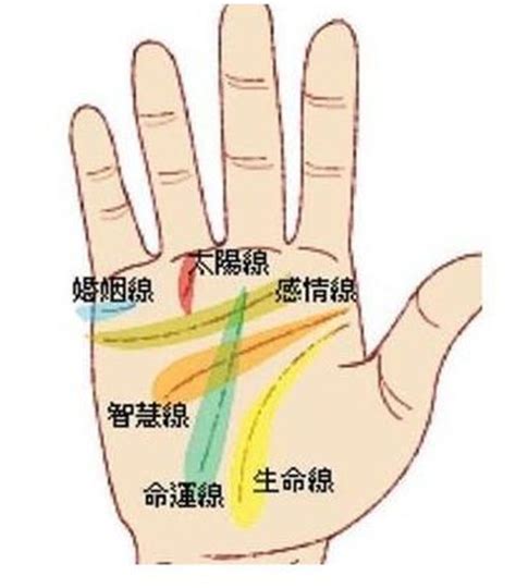 食指下方橫紋|手相:相形,相關起源,左右手,三大紋路,十字紋,星紋,島紋…